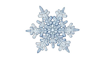 Intricate Winter Snowflake Crystal Closeup Macro Photography