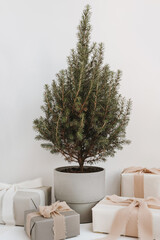 Christmas gift concept. Gift boxes with beige ribbons under Christmas tree. Holiday background with blank copy space