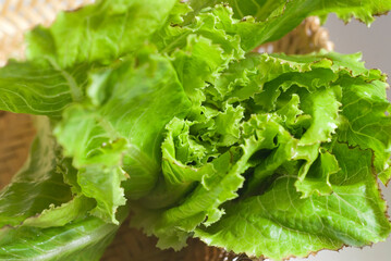 fresh lettuce leaves