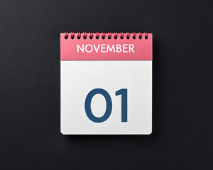Minimalist November First Calendar Page, Pink Top with White and Blue Dates