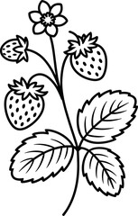 Exploring the Sweetness and Beauty of Wild Strawberry Plants and Their Juicy Fruit Perfect for Natural Desserts and Culinary Creations