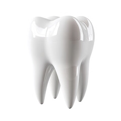 3D model of a healthy, glossy white tooth