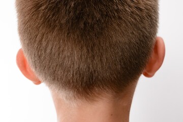 Fototapeta premium Close-up view of the back of a child's head, showcasing short brown hair and ears.