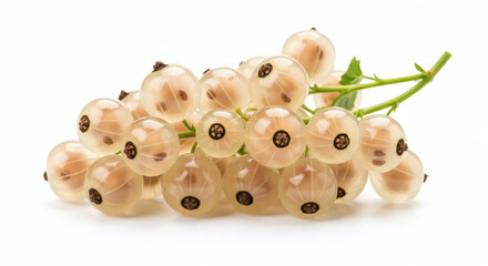 Fresh Cluster of Translucent White Currants Isolated on White Background
