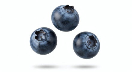 Three Fresh Blueberries Isolated on White Background Healthy Summer Fruit Concept