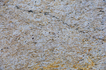 Obraz premium Rough White Granite Stone Texture with Fine Grains and Gold Veins