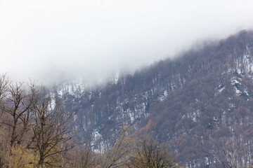 A mountain range covered in snow and trees