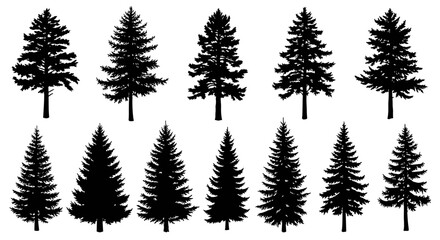 Fototapeta premium Vector art of collection of black pine tree silhouettes