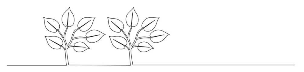 Fototapeta premium Continuous line art of an ornamental plant with dense leaves. Vector illustration