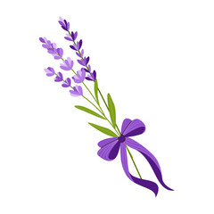 Vector lavender bouquet tied with purple ribbon and bow. Minimalistic floral illustration for cosmetics packaging, spa branding, natural products, greeting cards, women's party invitations.