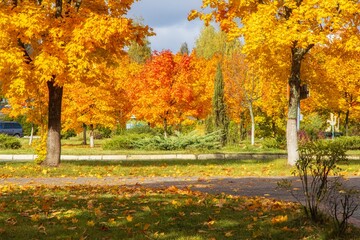 Fototapety na wymiar - Fototapeta24.pl