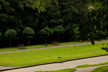 grass lawn square alley way for peacefully promenade with benches in trees environment space landscaped park outside
