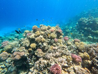 Schnorcheln in Ägypten