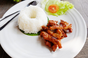 Delicious fried pork with rice in white dish