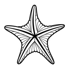 silver star on white background