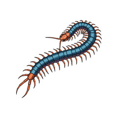 Illustration of a centipede with a white background