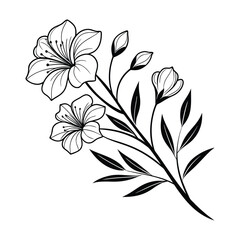 Gentle Petals Whisper Through Lines