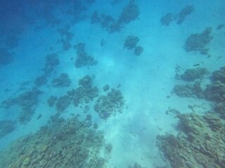 Schnorcheln in Ägypten