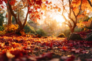 Vibrant red maple leaves carpet a forest floor with sunlight shining through the trees, creating a serene autumn scene. Concept for seasonal backgrounds, tranquil landscapes and environmental