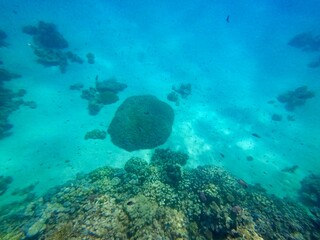 Schnorcheln in Ägypten