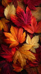 Background group autumn orange leaves.