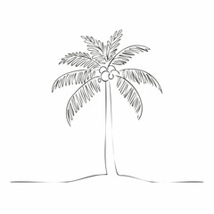 Obraz premium Minimalist One Line Coconut Tree Vector — Elegant Tropical Outline