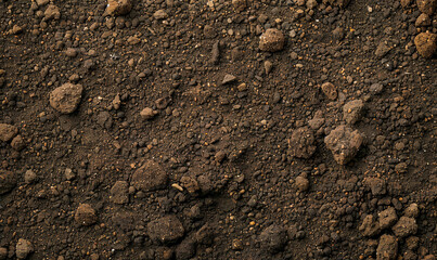 Textured Fertile Soil Background, Top View of Rich Organic Ground Surface for Agriculture, Gardening, and Farming