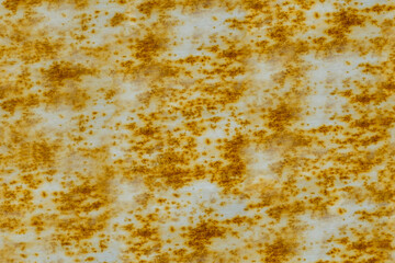 Texture of heavily rusted metal showing a white surface with concentrated patches of bright orange and brown corrosion. A detailed grunge background for industrial design.