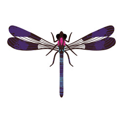 hand-drawn watercolor pink jewel dragonfly, heliocypha fenestrata, insect, bug PNG