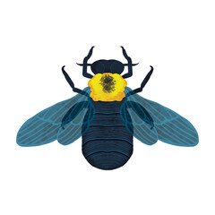 hand-drawn watercolor white cheeked carpenter bee, xylocopa aestuans, insect, bug PNG