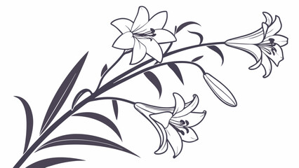 Graceful White Lily Botanical Line Art for Elegant Wedding Invitations Spring Easter Cards Funeral Programs and Serene Branding