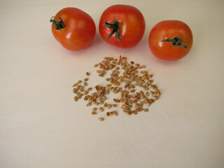 Self harvested tomato seeds and red tomatoes