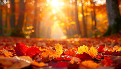 Vibrant autumn scene with sun rays filtering through trees, illuminating fallen leaves on forest floor