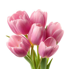 Naklejka premium Bunch Of Pink Tulips With Green Stems And Leaves On Black Background Keywords: pink tulips, flowers, floral, bouquet, spring flowers, blooming, petals, green stems, leaves