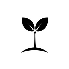 Young Seedling Sprout Emerging From Soil Symbolizing Growth, Nature, and New Beginnings