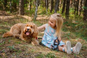 Little child girl holds the leash of Curly brown goldendoodle dog or Cavapoo breed walk outdoors in summer in the forest