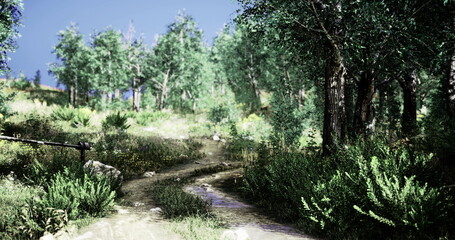 A serene pathway meanders through vibrant green foliage, surrounded by tall trees under a bright blue sky. Sunlight filters through the leaves, creating a peaceful natural landscape.
