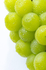 シャインマスカット