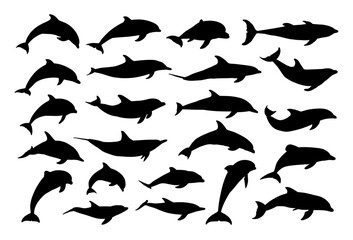 The big set silhouettes of marine dolphins.
