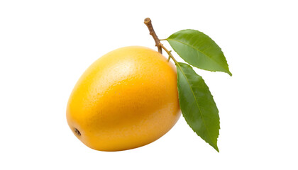 Mango PNG