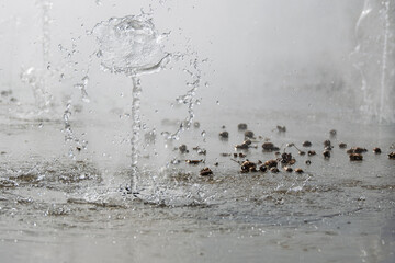 Souffle d’automne sur la fontaine — poésie de l’eau et du chêne