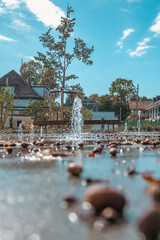 Souffle d’automne sur la fontaine — poésie de l’eau et du chêne