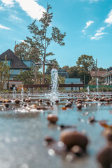 Souffle d’automne sur la fontaine — poésie de l’eau et du chêne