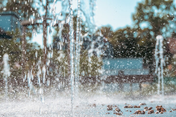 Souffle d’automne sur la fontaine — poésie de l’eau et du chêne