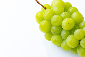 シャインマスカット