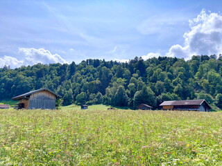 Landscape of lush summer vegetation of an alpine meadow surrounding a mountain settlement at the foot of a dense forest on a clear sunny day.