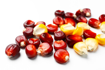 Kernels of red and yellow corn on white background, closeup