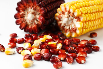 Red and yellow corn cobs with kernels on white background, closeup