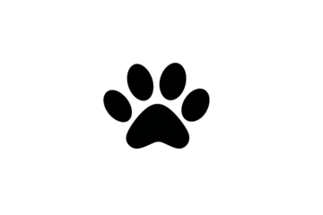 A black and white image of a paw