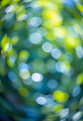 Obraz premium Green and Blue Summer Bokeh